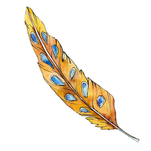 Yellow feater. Watercolor bird feather from wing isolated. Aquarelle feather for texture. Background set. - Valokuva, kuva