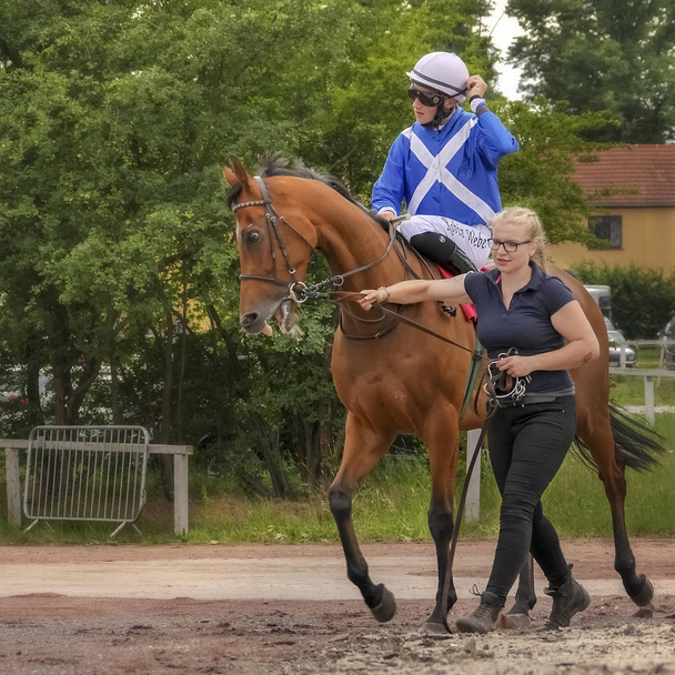 Magdeburg, Germany - 24 Juni 2017: Assistant leads the horse behind the bridle to the hippodrome. Race track in Magdeburg - Photo, image