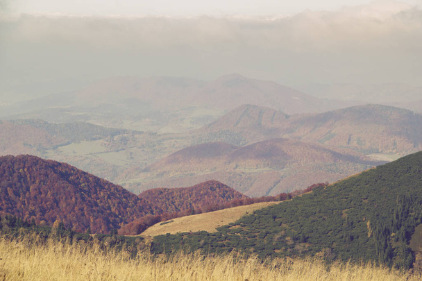 Krajobraz góry jesień w Parku Narodowym Mała Fatra, Słowacja, Karpacka, Europa - Zdjęcie, obraz