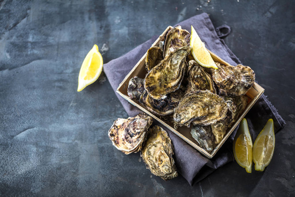 Fresh raw oysters, close up - Foto, Bild