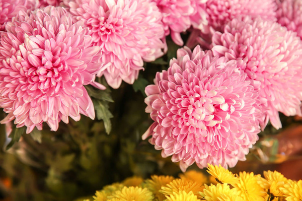 Велика кількість красивих квітів, крупним планом
 - Фото, зображення