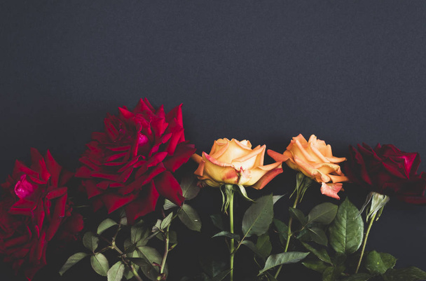πέντε ανθίζοντας τριαντάφυλλα σε μαύρο φόντο, παλιάς χρονολογίας, τόνωση, αντιγράψτε χώρο - Φωτογραφία, εικόνα