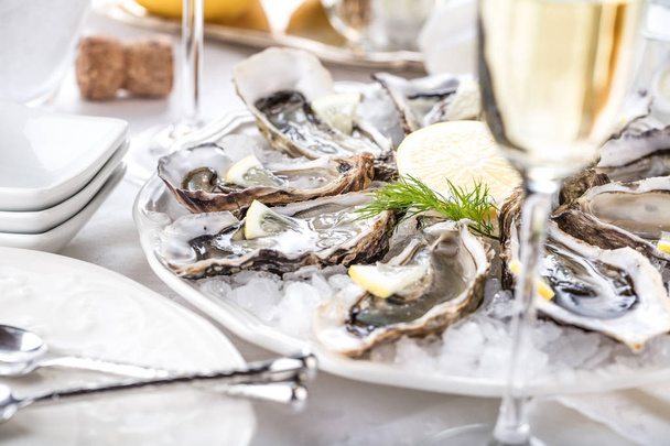 beautiful appetizer oysters two glasses wine champagne - Фото, изображение