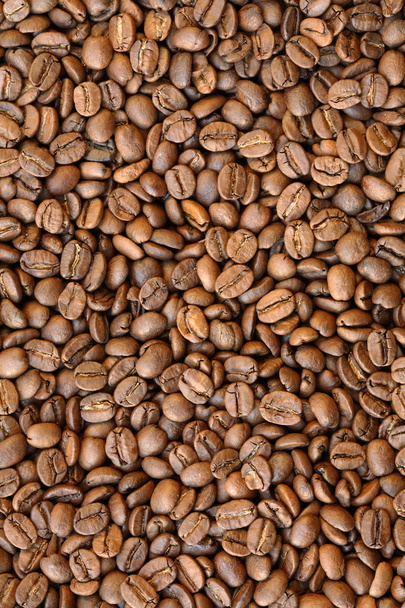 Coffee Grains - Photo, Image