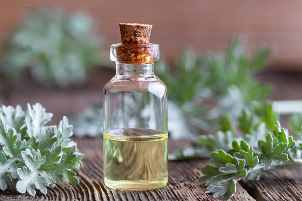 Бутылка эфирного масла из полыни со свежими листьями артемизии
 - Фото, изображение