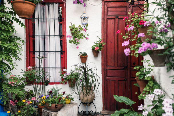 Typical andalusian courtyard in Cordoba, Andalusia Spain with a lot of plants - Фото, зображення