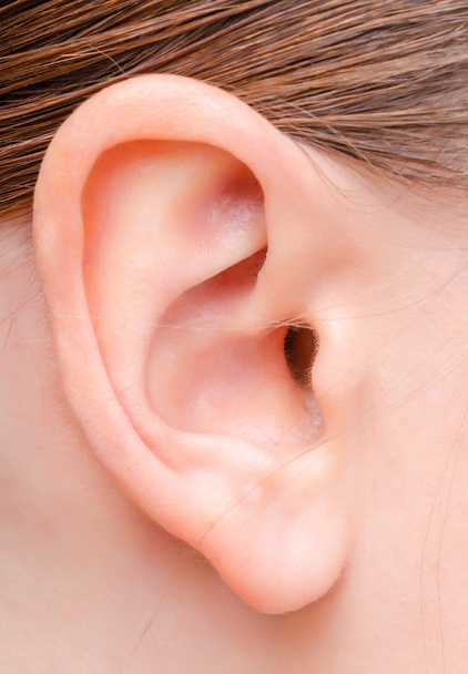 ear of a young woman - Photo, Image