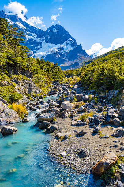 トーレス ・ デル ・ パイネ国立公園、森林、取付けおよび秋、パタゴニア、チリで氷河川のビュー - 写真・画像