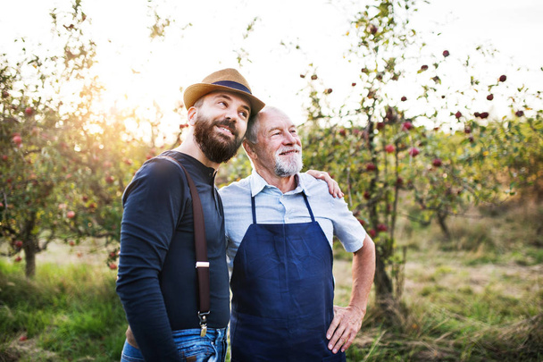 Un hombre mayor y un hijo adulto de pie del brazo en el huerto de manzanas en otoño
. - Foto, Imagen