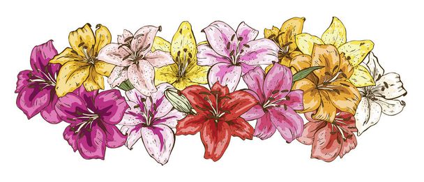 Ensemble de fleurs de lis multicolores lumineuses isolées sur fond blanc. Vecteur dessiné à la main. Nature collection florale
 - Vecteur, image