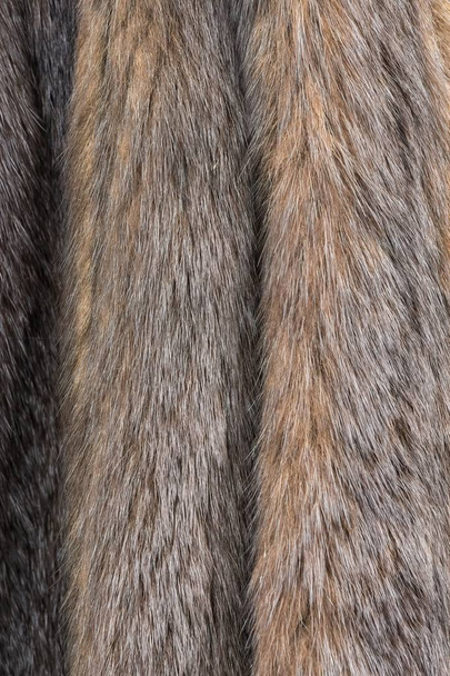 animal fur as background - Photo, Image