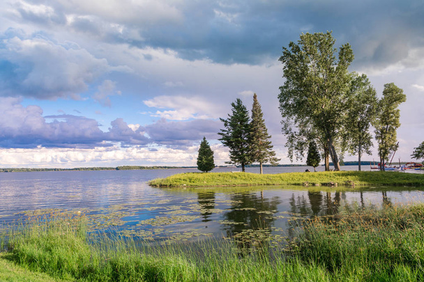 trees on the bank of the St. Lawrence River on Woodlands Island in Canada during a summer day - Fotografie, Obrázek