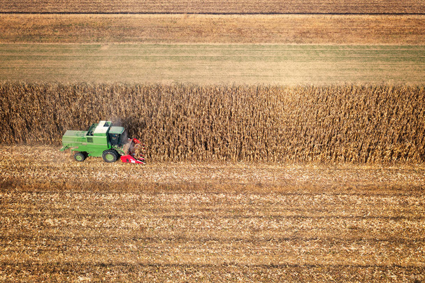 Raccolta del campo di mais con combinare all'inizio dell'autunno, vista aerea
 - Foto, immagini
