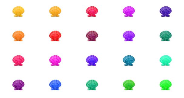 Яскравий веселковий барвистий візерунок фон з різнокольорових морських раковин сітки
 - Фото, зображення