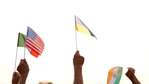 mensen hieven vlaggen op van verschillende landen. - Video