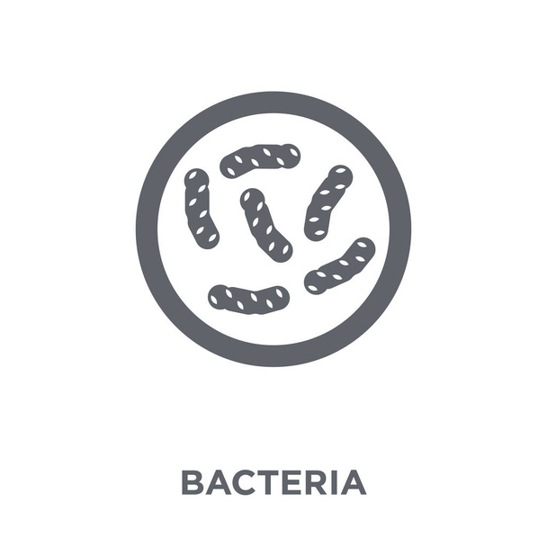 Bacteria icon. Bacteria design concept from  collection. Simple element vector illustration on white background. - Vector, Image