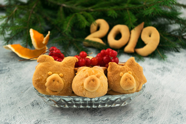 Ciasteczka świąteczne w formie głów prosiąt z czerwone jagody Kaliny, figury 2019 ciasta, gałęzie zielony świerk. - Zdjęcie, obraz