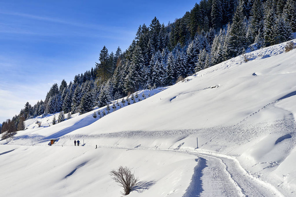 Tyrol Alpes paysage hivernal : pente de colline enneigée, route de campagne et deux personnes marchent
 - Photo, image
