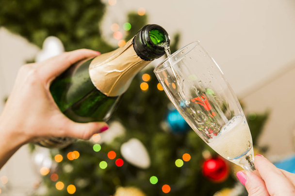 Jiskřivé šampaňské v ženských rukou na pozadí strom borovice - Fotografie, Obrázek