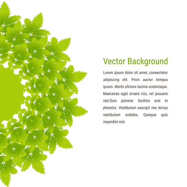 Vector background with mandala or label beautiful ash leaves. Vector frame, card with colourful spring and summer leaves prints. Grunge design element for web and print.  - Vektör, Görsel