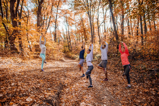 Mała grupa przyjaciół sportowy ćwiczenia na świeżym powietrzu. Las w jesień na zewnątrz. Drzewa i spadł leafs dookoła. Pojęcie zdrowego stylu życia. - Zdjęcie, obraz