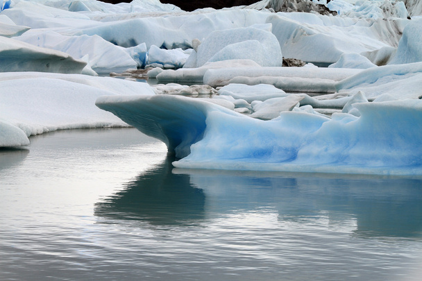 Melting Glacier - Fotografie, Obrázek