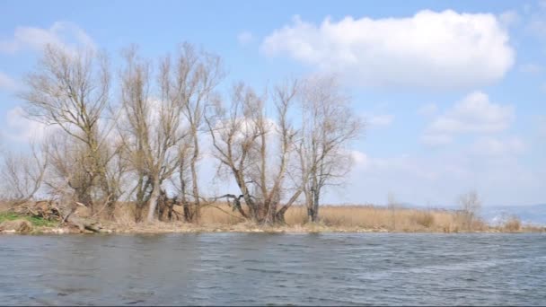Flora y fauna en el lago Balaton, Hungría
 - Metraje, vídeo