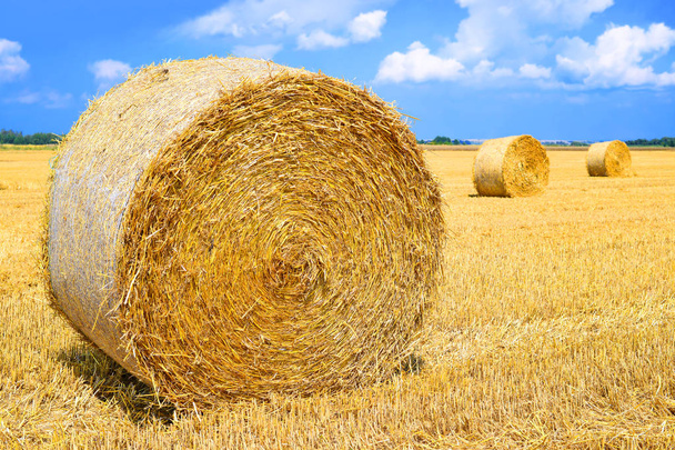 Harvesting of straw in the rural landscape - Photo, Image