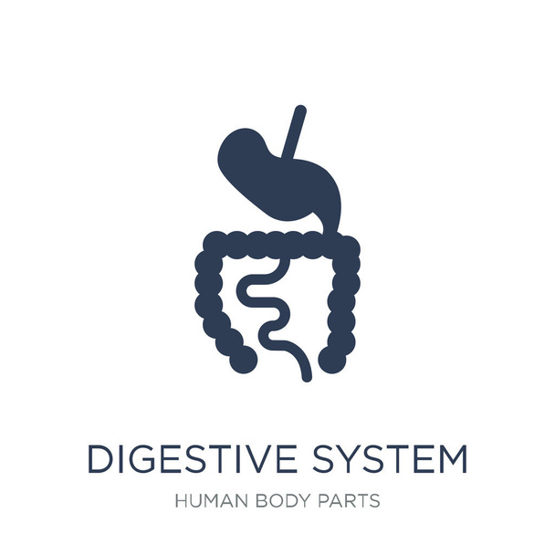 Digestive System icon. Trendy flat vector Digestive System icon on white background from Human Body Parts collection, vector illustration can be use for web and mobile, eps10 - Vector, Image