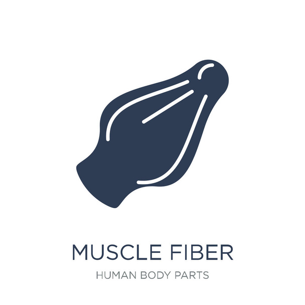 Ikona svalových vláken. Moderní ploché vektorové ikony svalového vlákna na bílém pozadí z kolekce částí lidského těla, vektorové ilustrace může být použít pro web a mobilní, eps10 - Vektor, obrázek