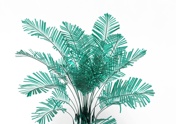 Cocos palm tree bladeren geïsoleerd op witte achtergrond  - Foto, afbeelding