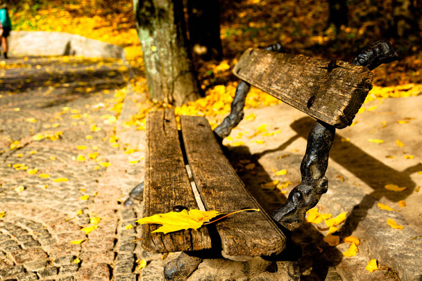 gele bladeren herfst Oekraïne Uman Sophia Park - Foto, afbeelding