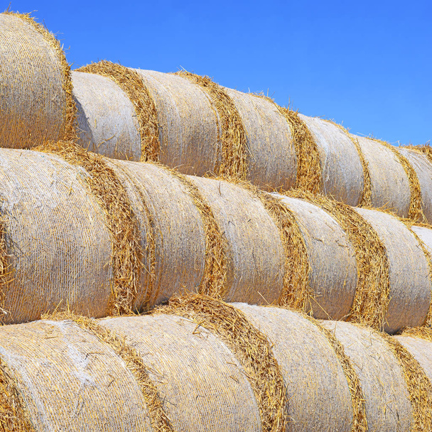 Bales of straw on the ground storage - Photo, Image