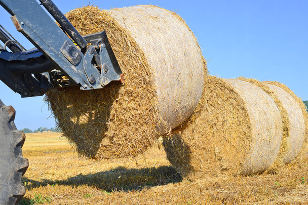 Moving bales of straw tractor with machining attachments - Photo, Image