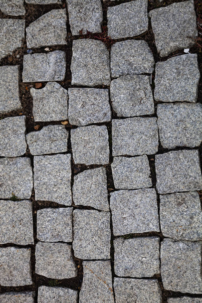 Gray stone road close up. Fragment of a walkway in the park. - Фото, зображення