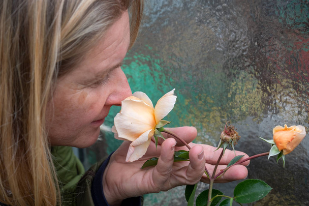 Mujer rubia jardinero en la flor de los años, huele satisfecho con los ojos cerrados en el aroma Aroma rosas rojas flor en el jardín parque jardín de rosas
 - Foto, Imagen