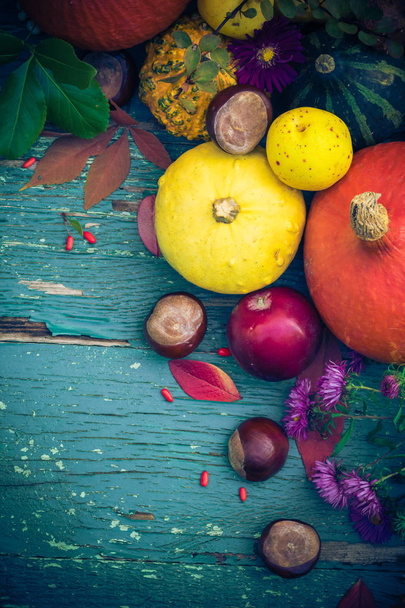 Autumnal background with fruits and seasonal crops - Fotó, kép