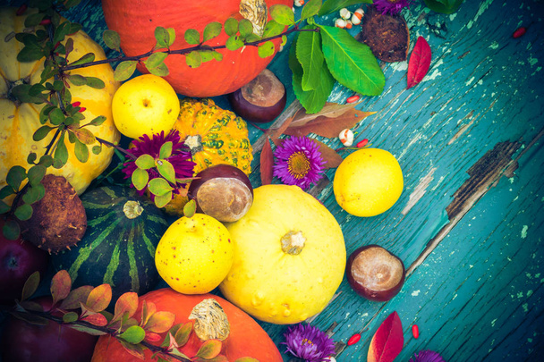Autumnal background with fruits and seasonal crops - Fotoğraf, Görsel