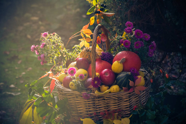 A basket full of fruit in an autumn garden in a mystical light - Photo, image