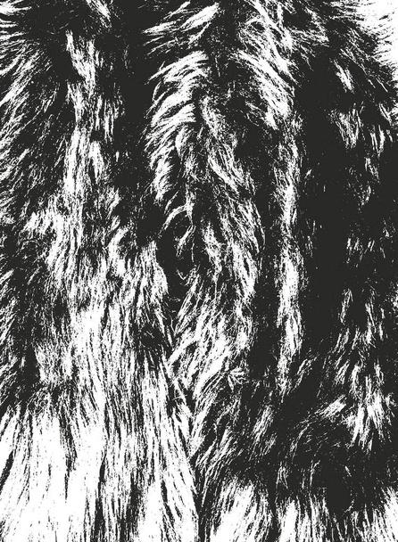 Distressed Overlay Textur aus natürlichem Fell, Grunge Vektor Hintergrund. abstrakte Halbtonvektorillustration - Vektor, Bild