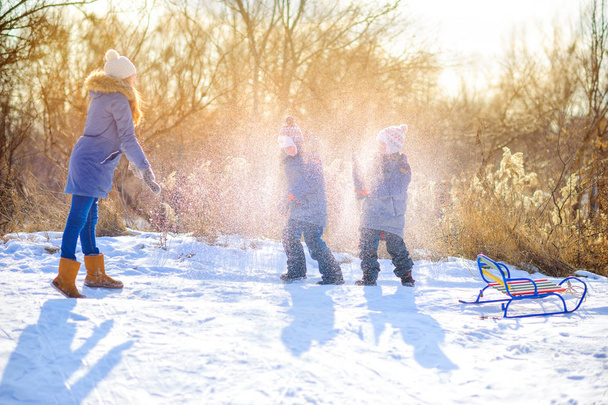 children playing in the winter forest at sunset, covered with snow and having fun - Fotoğraf, Görsel