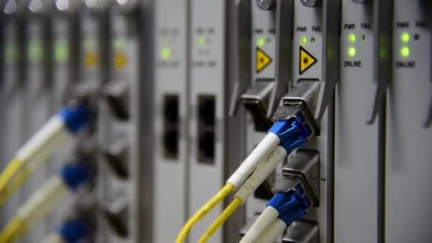 Cabo de patch de cabo de fibra óptica de telecomunicações conectado e piscando do status de led no data center
 - Filmagem, Vídeo