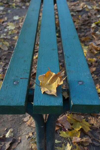 Foglie cadenti. Autunno in città Parco in foglie gialle. Una foglia d'acero giallo su panchina da giardino blu, umore triste della passata estate
 - Foto, immagini