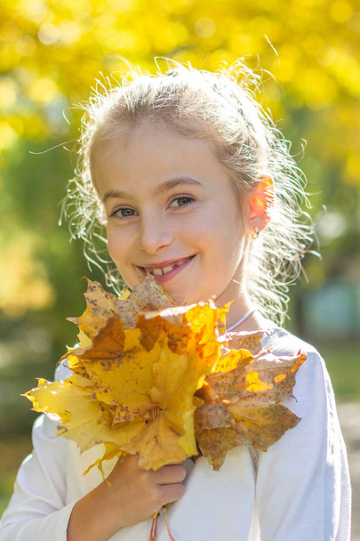 Smiling teenage girl with yellow maple leaves - Foto, immagini