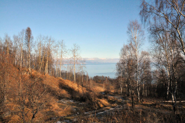 Baikal, autumn, descent to the shore - Foto, immagini
