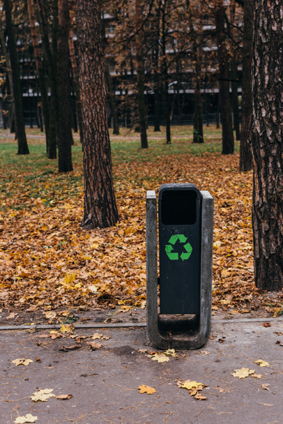 selective focus of trash bin with recycling sign in autumnal park with yellow leaves  - Foto, immagini