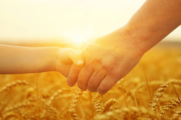 Hände von Mutter und Tochter an der Sonne. Halten einander auf dem Weizenfeld - Foto, Bild