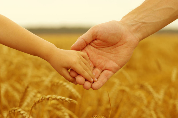 Ręce Ojca i córkę, trzymając się nawzajem na polu pszenicy - Zdjęcie, obraz