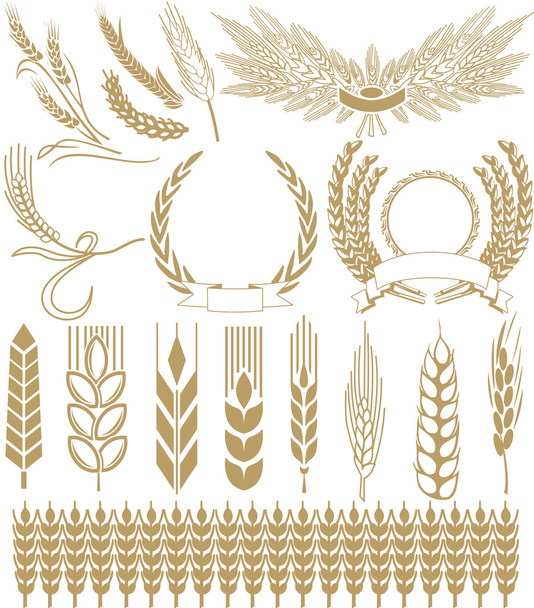 Пшениця вуха колекції
 - Вектор, зображення