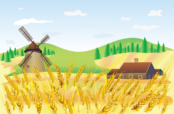 пшеничное поле - Вектор,изображение